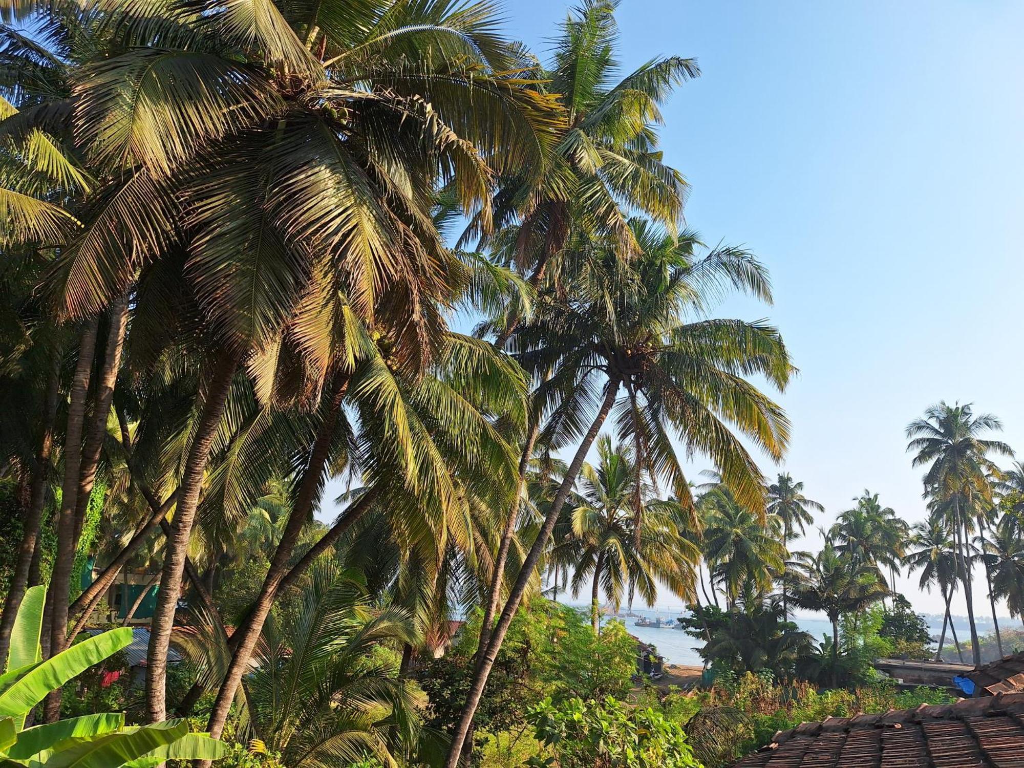Anand Nivas Homestay Mālvan Exterior foto